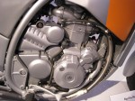 Aprilia Moto 6.5 Engine